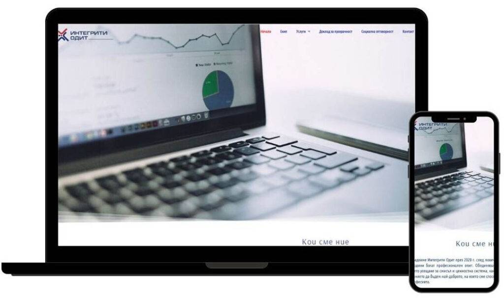 Integrity audit website