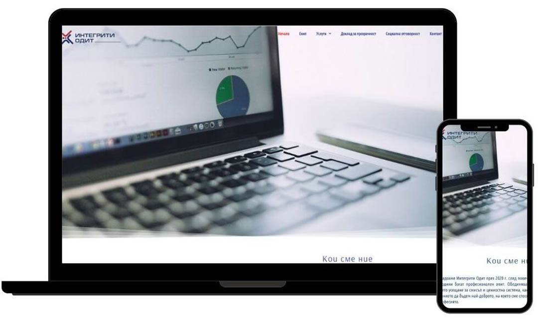 Integrity audit website